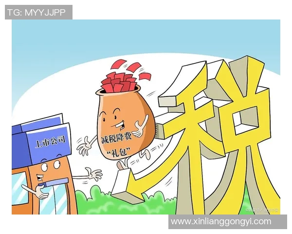 税务问题困扰企业发展亟需有效解决方案与政策支持