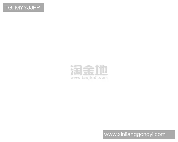 巴甲球队转会动态分析新赛季引援策略与球员流动趋势